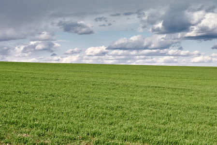 春天 农事 风景 远景 国家 天空 农场 纹理 环境 要素