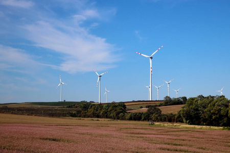 风车 气候 能量 权力 保护 磨坊 涡轮 效率 二氧化物