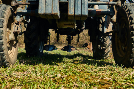 种子 工人 在下面 土壤 生长 行业 污垢 农学 车辆 土豆