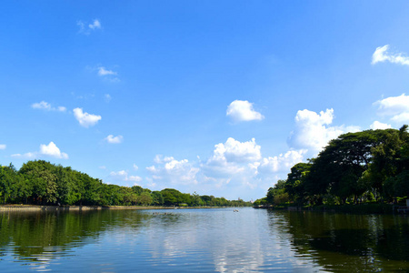 摩天大楼 冷静 天空 环境 太阳 树叶 风景 夏天 阳光