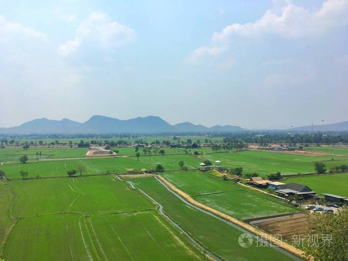 泰国 谷类食品 泰语 领域 自然 食物 农业 农事 风景