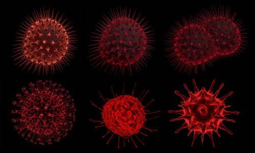 生物学 流感 微生物学 细胞 癌症 光晕 细菌 蛋白质 有机体