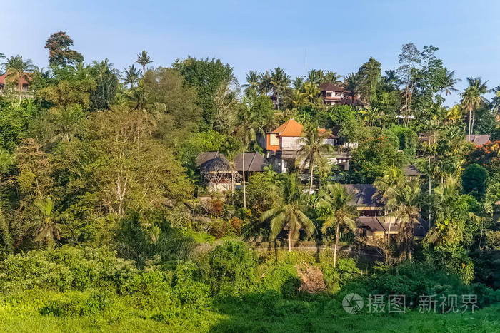 目的地 风景 森林 外部 丛林 旅游业 美丽的 村庄 灌木