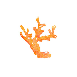 白色背景上橙色珊瑚礁的水彩画插图。手绘在纸上。