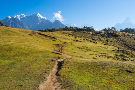 范围 悬崖 攀登 喜马拉雅山 旅行 阿尔卑斯山 吸引力 珠穆朗玛峰