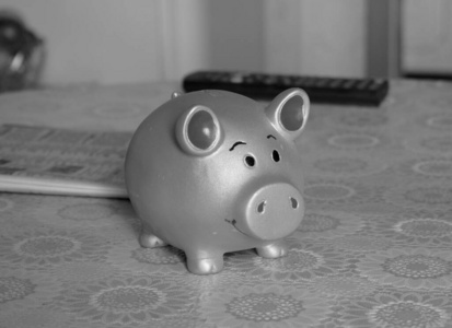 小猪 粉红色 投资 退休 金融 银行 商业 现金 储蓄 利润