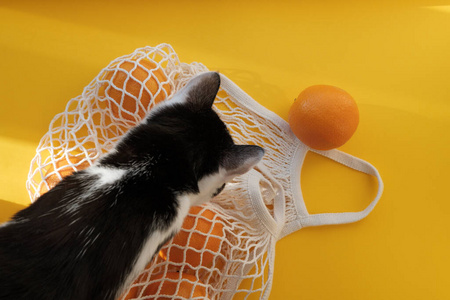 橘子在亮黄色的背景和强烈的阳光下和黑白燕尾服猫在一起。零浪费的概念。使用可重复使用的袋子代替一次性的玻璃纸包装袋。