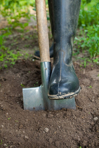 栽培 工具 女人 挖掘 工人 成长 男人 铲子 土壤 园丁