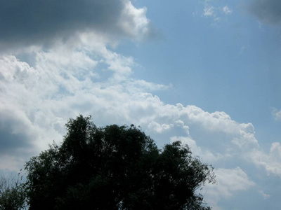 环境 夏天 树叶 美丽的 美女 天空 春天 风景 太阳 落下