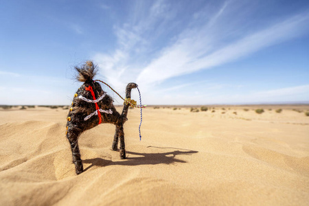 荒野 大篷车 旅游业 玩物 冒险 摩洛哥 非洲 头发 动物