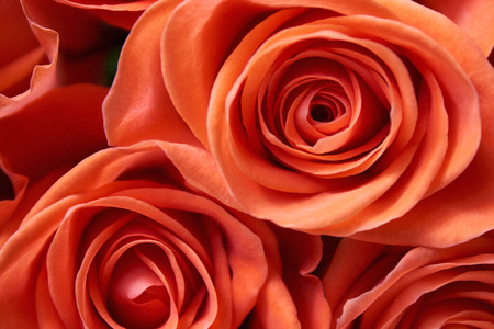 浪漫的 花束 开花 美丽的 颜色 礼物 假日 情人 浪漫