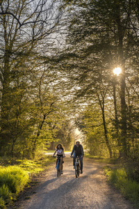 娱乐 健康 骑自行车 森林 家庭 女人 自然 夏天 假期