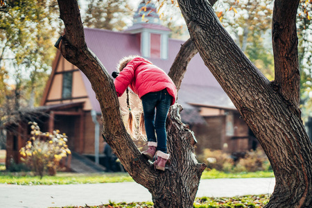 小女孩爬树