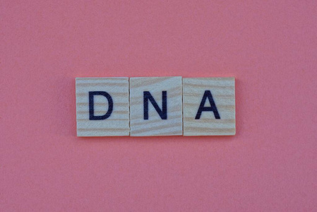 字母表 信件 消息 物理学 进化 单词 字母 紫色 基因