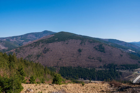 天空 丘陵 森林 沙漠 自然 夏天 岩石 风景 旅行 小山