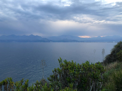 港口 火鸡 岩石 旅游业 暴风雨 树叶 春天 假期 海景