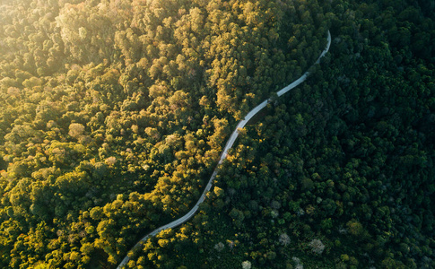 汽车 高的 丘陵 无人机 自然 风景 国家 空的 乡村 大街