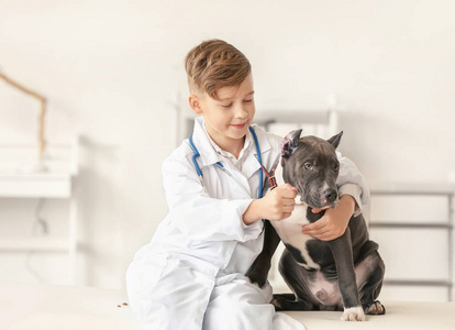沙发 未来 专家 病人 职业 动物 犬科动物 医学 猎犬