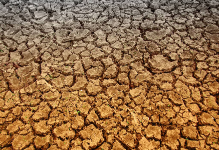 地面 变暖 地球 无雨 荒野 沙漠 自然 土地 干旱 损害