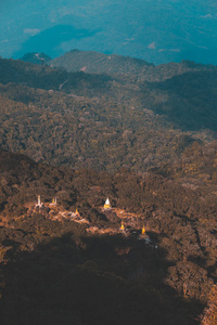 草地 日落 早晨 假期 小山 太阳 森林 秋天 天空 环境