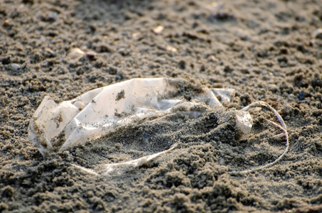 回收 倾倒 海岸 塑料 废旧物品 海岸线 生态学 海滩 自然