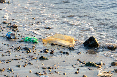 废旧物品 污染 生态学 垃圾 环境 浪费 倾倒 海岸线 海洋