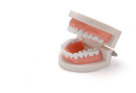 恢复 牙痛 照顾 牙周病 义齿 口香糖 下巴 人类 口腔医学