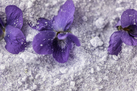花束 紫罗兰 按摩 美女 芳香疗法 健康 美味的 洗澡 春天
