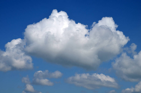 天气 美女 空气 云景 风景 特写镜头 毛茸茸的 环境 自然