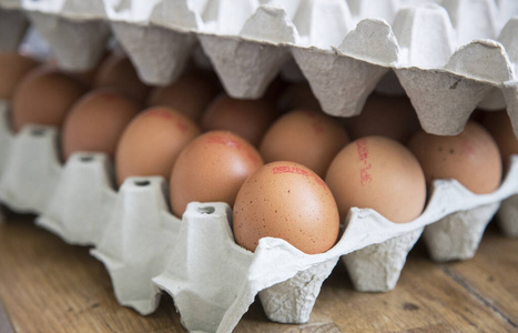 复活节 鸡蛋 蛋壳 蛋白质 纸箱 食物 托盘 农场 特写镜头