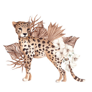 拉伸 豹子 自然 美丽的 猫科动物 水彩 植物 艺术 野生动物