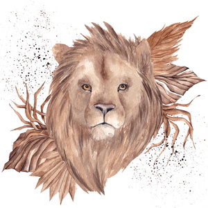 肖像 自然 插图 艺术 狮子 猎人 动物园 美丽的 毛皮