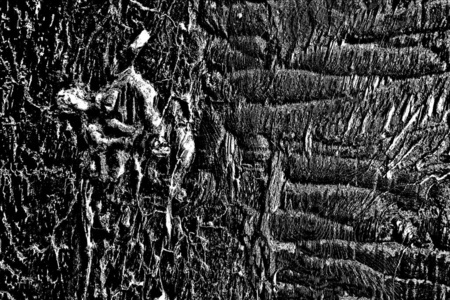 裂缝 艺术 材料 复制空间 踪迹 古老的 老年人 音调 刮痕