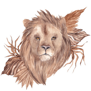 艺术 野生动物 动物园 力量 动物 绘画 狮子 插图 哺乳动物
