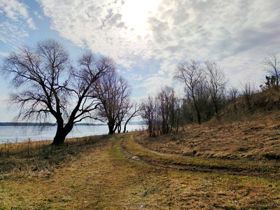 美丽的 环境 公园 森林 木材 自然 季节 风景 蓝天 场景