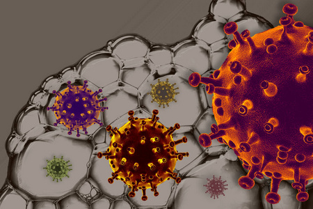 传播 生物学 流感 呼吸系统 病毒学 风险 新型冠状病毒