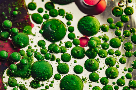 绿色泡泡的抽象照片。创意艺术摄影。