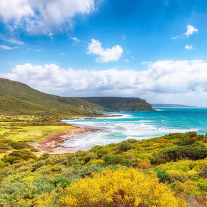 季节 发现 夏天 旅游业 海岸线 探索 海景 国家 海岸