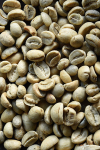 阿拉比卡咖啡 种子 纹理 卡布奇诺 咖啡 摩卡 饮料