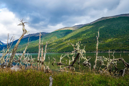 路线 美国 安第斯山脉 海景 情景 乌斯怀亚 旅游业 巴塔哥尼亚