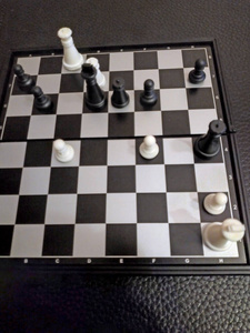 优势 国际象棋 细胞 大象 大师 游戏 菲德 首次亮相 法官