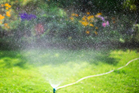 自然 潮湿 喷雾 夏天 灌溉 软管 洒水器 清爽 喷雾器