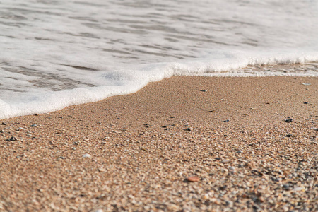 波动 海岸 特写镜头 海滩 纹理 泼洒 海岸线 海洋 海滨