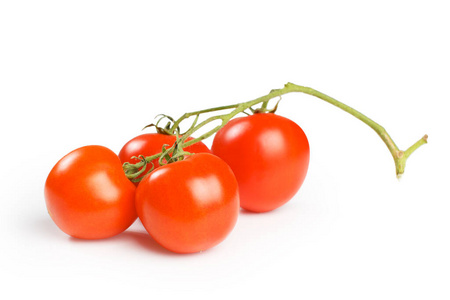 西红柿 自然 特写镜头 饮食 营养 番茄 美味的 植物 健康