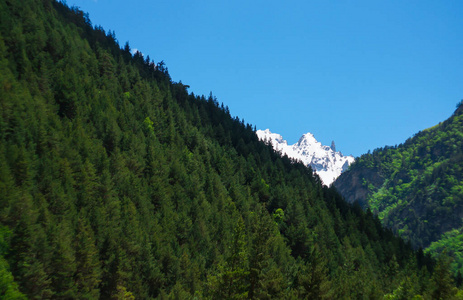 森林 徒步旅行 旅行 山谷 欧洲 公园 天空 岩石 阿尔卑斯山