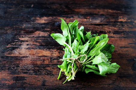 植物 菠菜 桌子 农场 素食主义者 维生素 俄语 沙拉 厨房