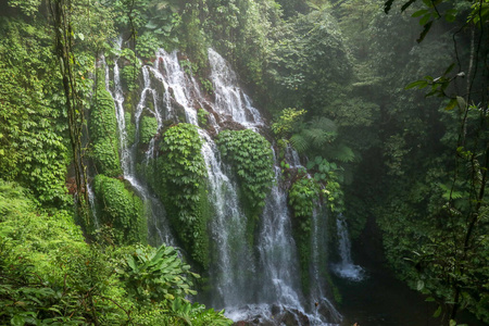 风景 巴厘岛 小溪 旅游业 环境 丛林 流动 旅行 森林