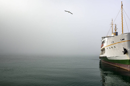 运输 旅行 天气 天空 薄雾 风景 自然 地平线 孤独的
