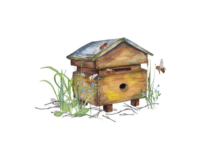 水彩 夏天 绘画 要素 食物 蜜蜂 花园 收集 昆虫 偶像