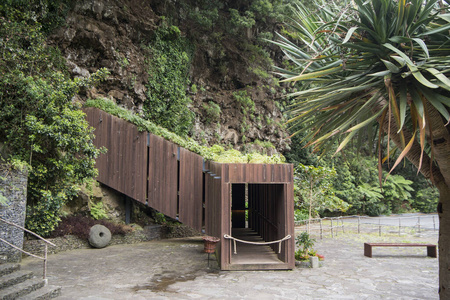 洞穴 悬崖 风景 进入 马德拉 博物馆 海洋 葡萄牙 自然